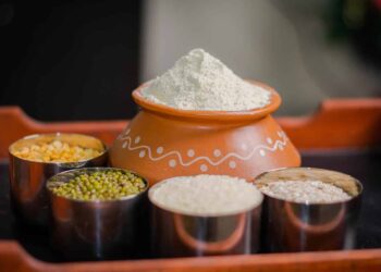 Comment épandre de la terre de diatomée ?