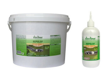 Comment éradiquer les crapauds ?