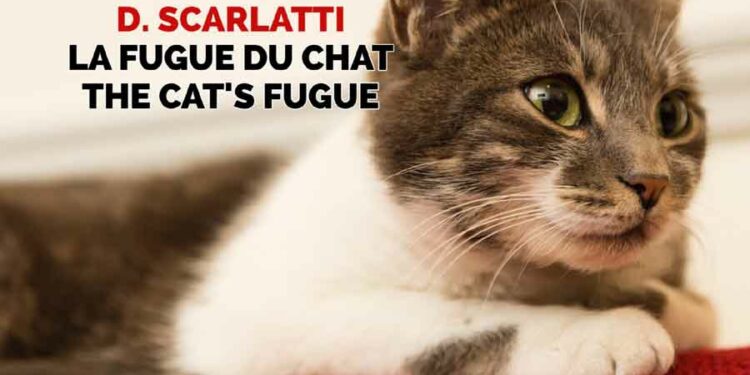 Comment être sûr que mon chat va revenir ?