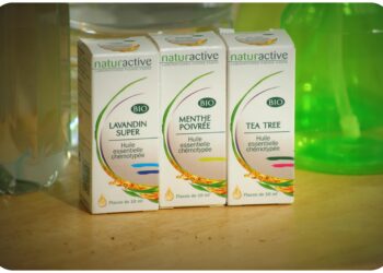 Comment éviter de se faire piquer par des puces ?