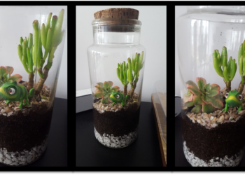 Comment éviter la buée dans un terrarium ?