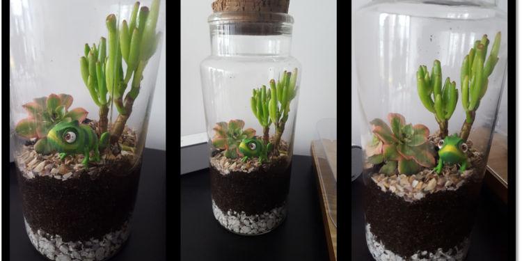 Comment éviter la buée dans un terrarium ?