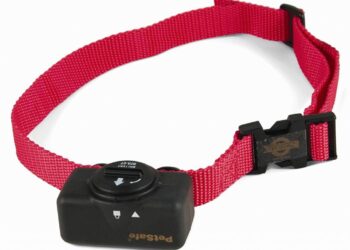 Comment eviter les aboiements intempestifs ?