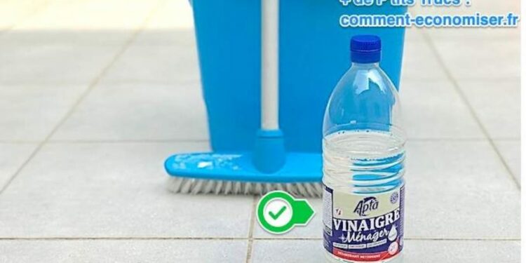 Comment éviter les fientes de pigeons ?