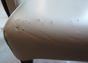 Comment éviter les griffes de chat sur le cuir ?