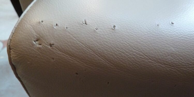 Comment éviter les griffes de chat sur le cuir ?