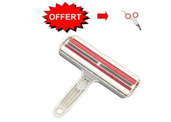 Comment eviter les poils de chien dans la maison ?