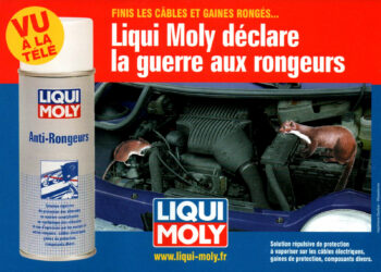 Comment éviter les rongeurs dans les moteurs ?