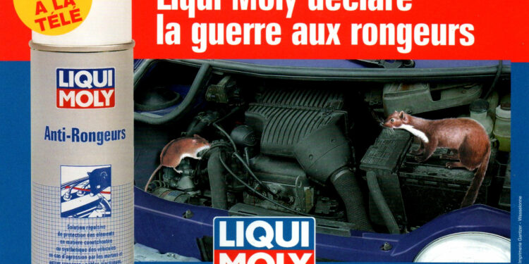 Comment éviter les rongeurs dans les moteurs ?