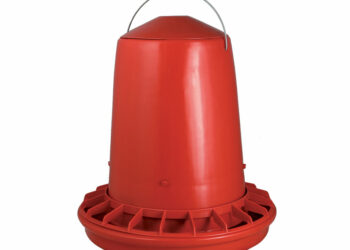 Comment éviter que les rats mangent les graines des poules ?