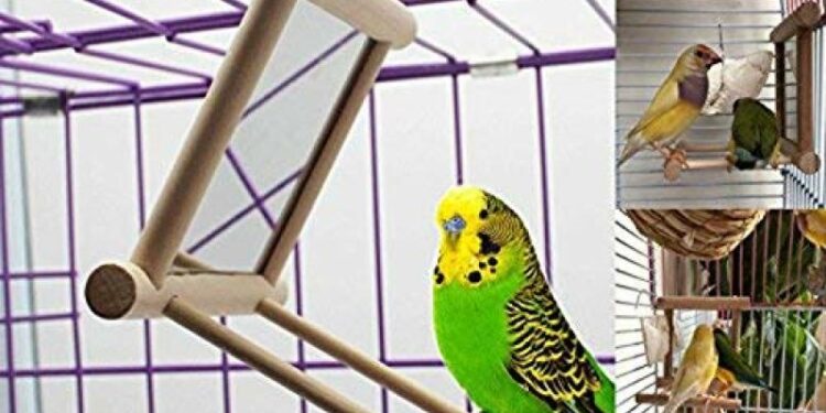 Comment fabriquer des jouets pour oiseaux ?