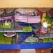 Comment fabriquer des jouets pour rats ?