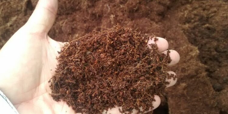 Comment fabriquer le substrat de coco ?