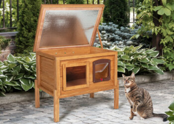 Comment fabriquer un abri pour chat extérieur ?