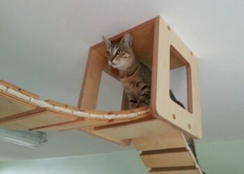 Comment fabriquer un arbre à chat en bois flotté ?