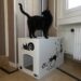 Comment fabriquer un bac à litière pour chat ?