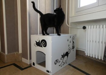 Comment fabriquer un cache litière ?