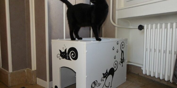 Comment fabriquer un cache litière ?