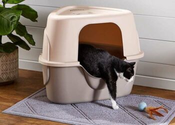 Comment fabriquer un cache litière ?