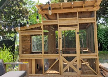 Comment fabriquer un chenil Soi-même ?