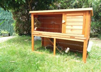 Comment fabriquer un clapier avec des palettes ?