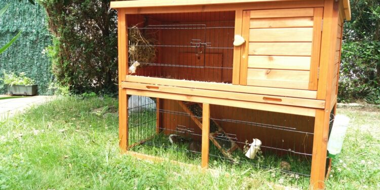 Comment fabriquer un clapier avec des palettes ?