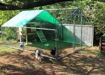 Comment fabriquer un enclos pour les poules ?