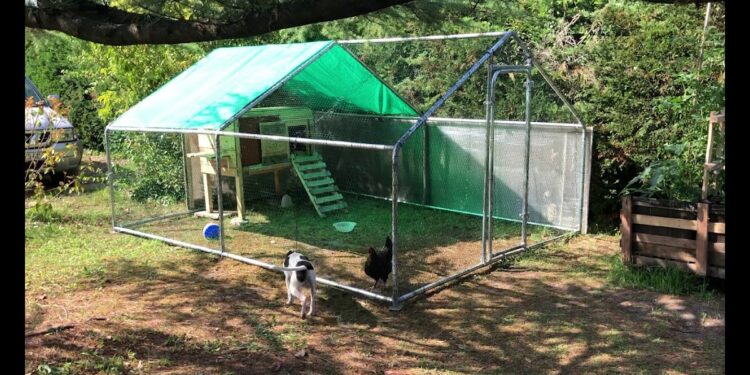 Comment fabriquer un enclos pour les poules ?