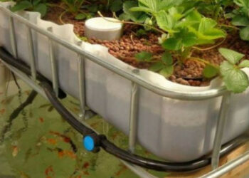 Comment fabriquer un filtre à eau naturel ?