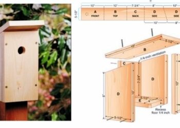 Comment fabriquer un nichoir facile ?
