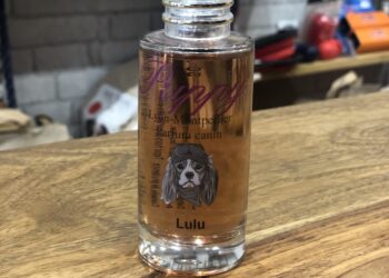 Comment fabriquer un parfum pour chien ?