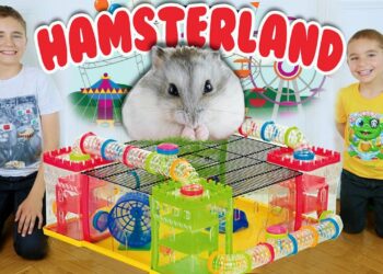 Comment fabriquer un pont pour hamster ?