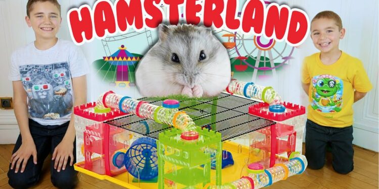 Comment fabriquer un pont pour hamster ?