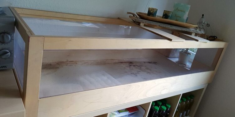 Comment fabriquer un terrarium en OSB ?