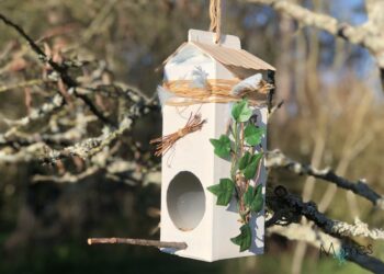Comment fabriquer une cage à canari ?