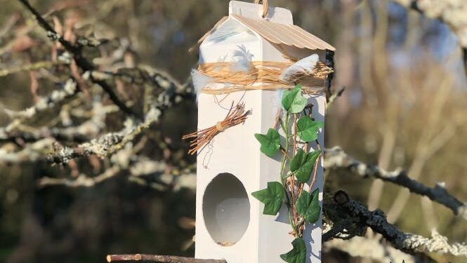 Comment fabriquer une cage à canari ?