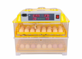 Comment fabriquer une couveuse dans un carton ?