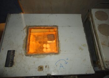 Comment fabriquer une couveuse manuel ?