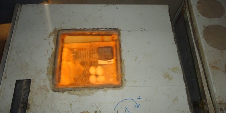 Comment fabriquer une couveuse manuel ?