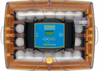 Comment fabriquer une couveuse sans thermostat ?