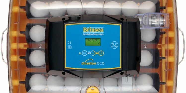 Comment fabriquer une couveuse sans thermostat ?