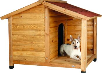 Comment fabriquer une grande niche pour chien ?