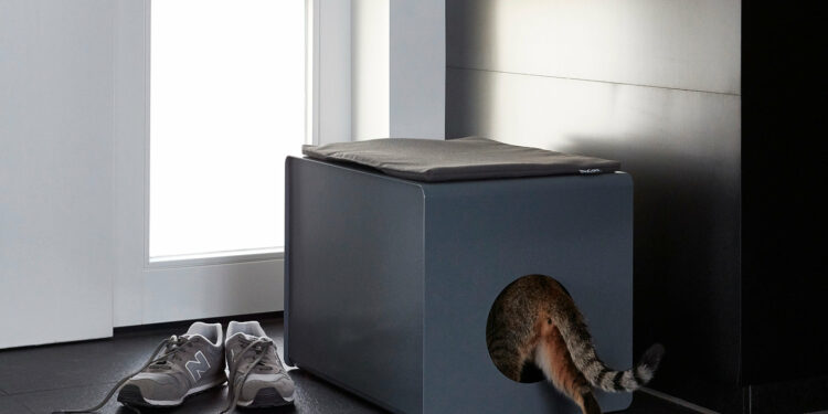 Comment fabriquer une maison de toilette pour chat ?