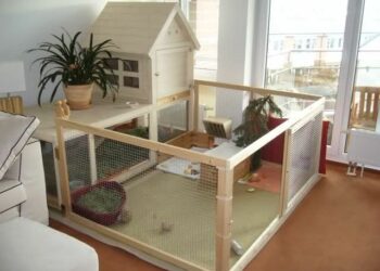 Comment fabriquer une maison en carton pour lapin ?