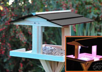 Comment fabriquer une mangeoire à oiseaux en bois ?