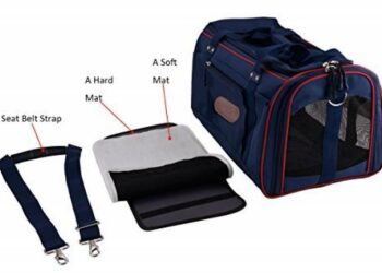 Comment faire 8h de route avec un chat ?