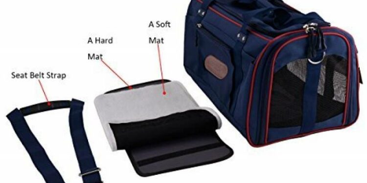 Comment faire 8h de route avec un chat ?