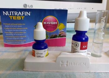 Comment faire baisser le GH dans un aquarium ?