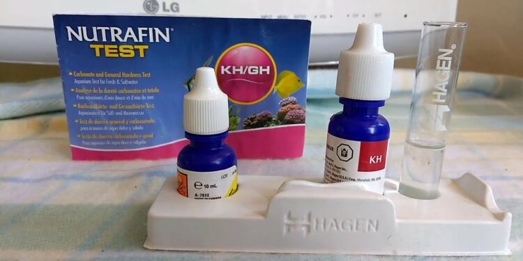 Comment faire baisser le GH dans un aquarium ?
