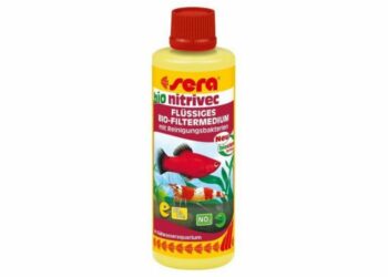 Comment faire baisser le nitrite dans un aquarium ?